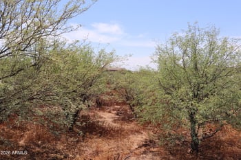 4392x 20th St #B, New River, AZ 85087