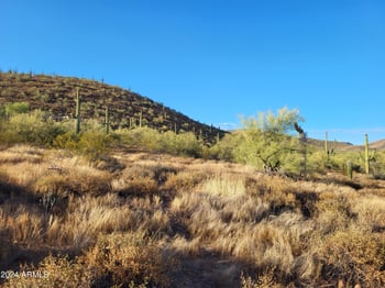 439xx 24th St #1, New River, AZ 85087