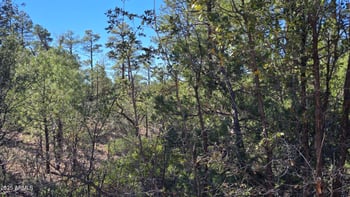 440 Stoneridge Cir #375, Show Low, AZ 85901