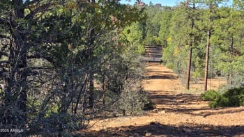 440 Stoneridge Cir #375, Show Low, AZ 85901