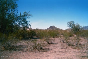 44000 W Montecito Ave #103, Tonopah, AZ 85354