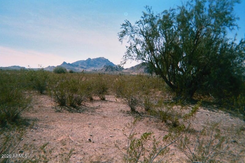 44000 W Montecito Ave #103, Tonopah, AZ 85354