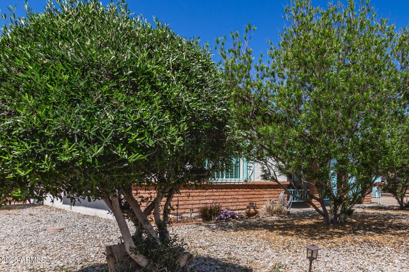 4402 N 79th Dr, Phoenix, AZ 85033