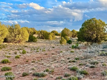 4428 Colt Rd #-, Snowflake, AZ 85937