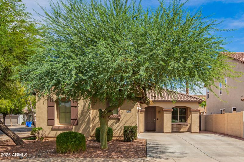 4436 E Franklin Ave, Gilbert, AZ 85295
