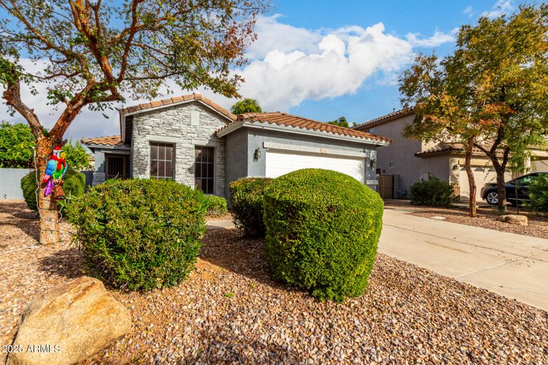 4452 E Moreno Ct, Gilbert, AZ 85297