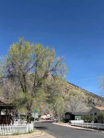 4459 Bonner St, Flagstaff, AZ 86004