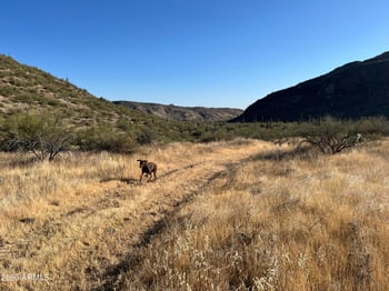 44814 22nd St, New River, AZ 85087