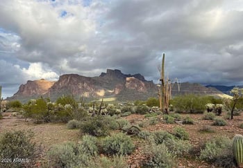 450 N Geronimo Rd #-, Apache Junction, AZ 85119