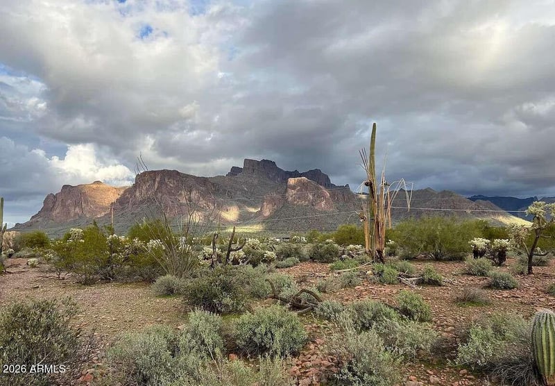 450 N Geronimo Rd #-, Apache Junction, AZ 85119