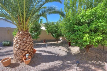 45085 Mescal St, Maricopa, AZ 85139