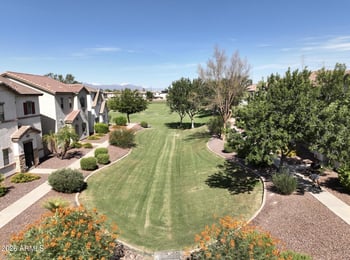 453 Citrus Ln, Gilbert, AZ 85234