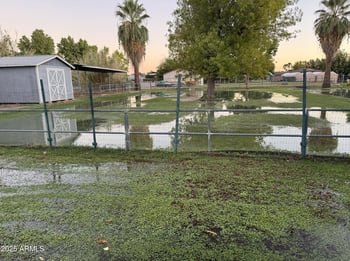 4532 Tierra Buena Ln, Glendale, AZ 85306