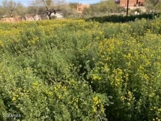 45427 N 14th St #A, New River, AZ 85087
