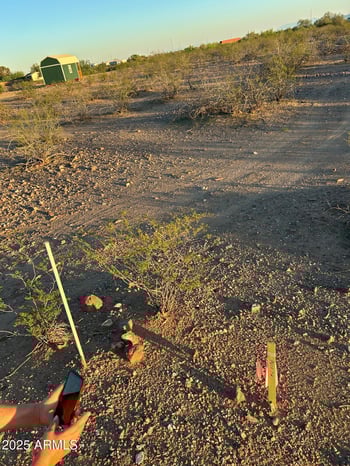 455 Weitzman Dr Cir #211, Morristown, AZ 85342