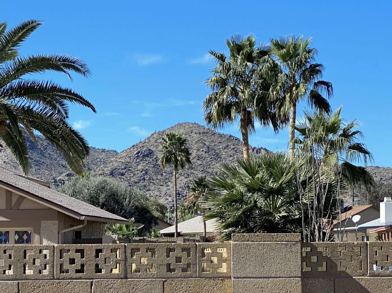 4555 E Cheyenne Dr, Phoenix, AZ 85044