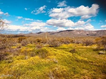 45653 N 16th St #1, New River, AZ 85087