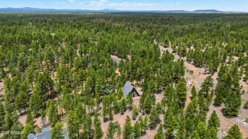 4596 Cree Cir, Happy Jack, AZ 86024