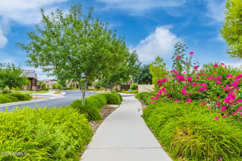 4614 Euler Ln, Mesa, AZ 85212