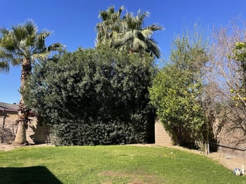 4616 Pershing Ave, Phoenix, AZ 85032