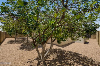 463 Olmo Cir, Apache Junction, AZ 85120