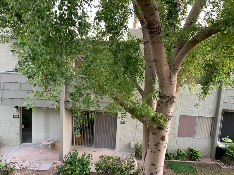 4630 N 68th St #276, Scottsdale, AZ 85251