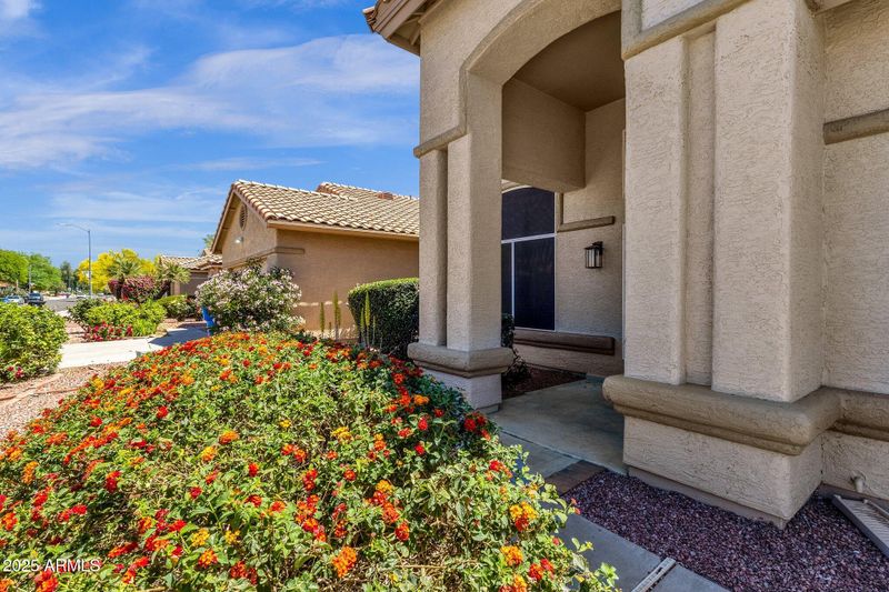 4633 E Desert Cactus St, Phoenix, AZ 85032