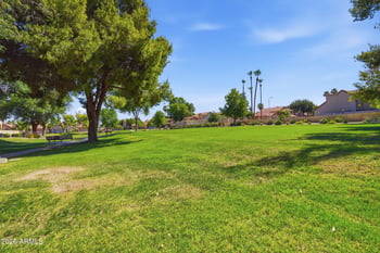 4687 Ivanhoe St, Chandler, AZ 85226