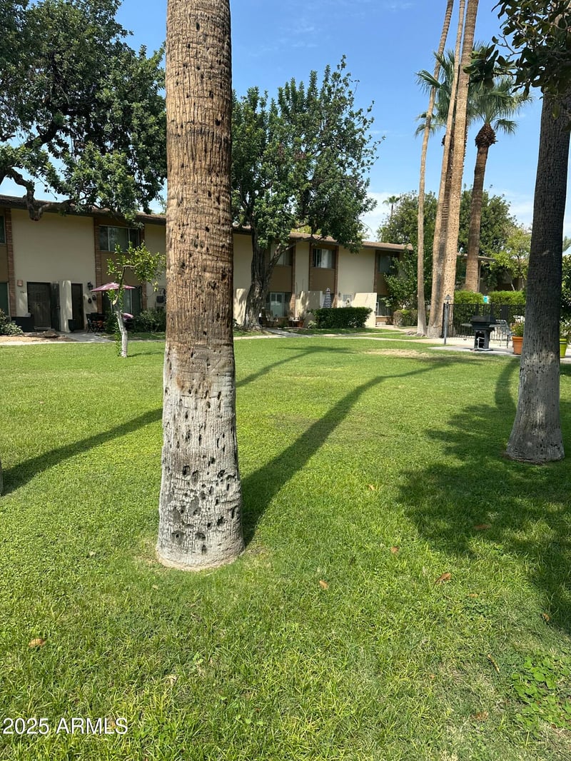 4701 68th St #148, Scottsdale, AZ 85251