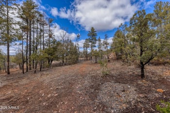 4701 Pine Way #9, Show Low, AZ 85901