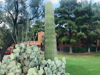 4704 Paradise Village Pw #211, Phoenix, AZ 85032
