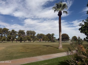 4730 N Greenview Cir W, Litchfield Park, AZ 85340