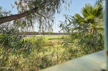 478 Jackson St, Gilbert, AZ 85233