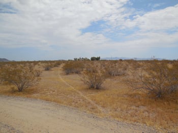 4800 381st Ave #-, Tonopah, AZ 85354