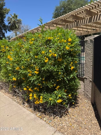 4810 Manzanita Dr, Glendale, AZ 85302