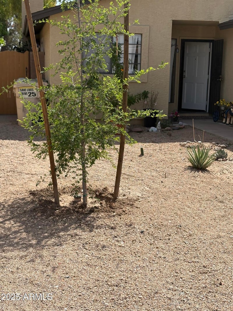 4813 Krall St, Glendale, AZ 85301