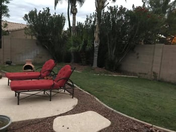 483 Carob Dr, Chandler, AZ 85248