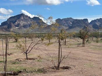 48420 Polk St #-, Tonopah, AZ 85354