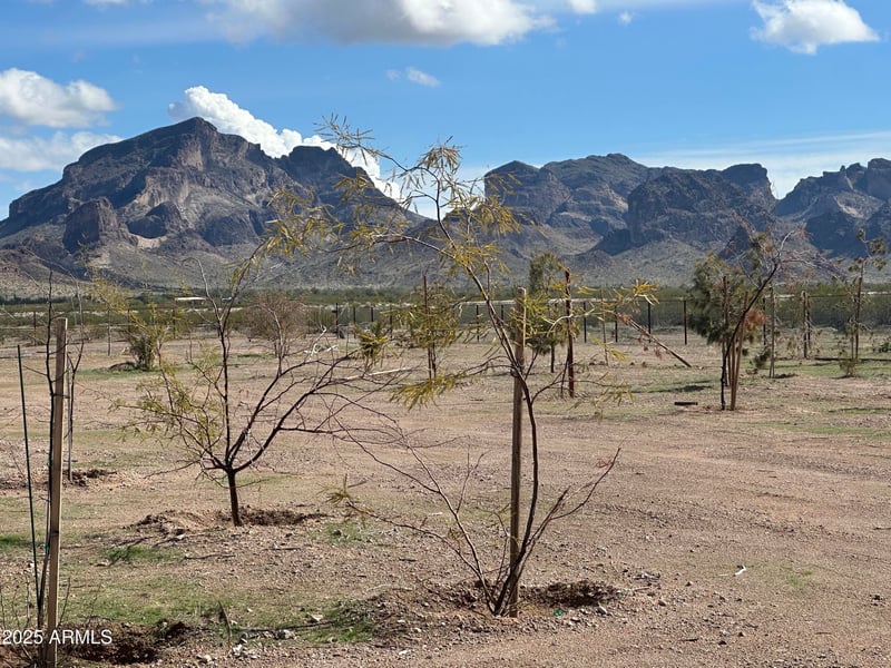 48420 Polk St #-, Tonopah, AZ 85354