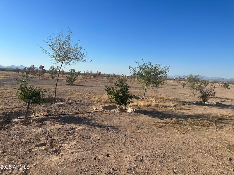 48420 Polk St #-, Tonopah, AZ 85354