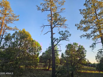 4843 Bison Trl, Lakeside, AZ 85929