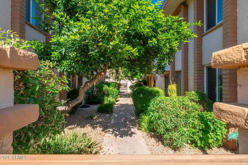 4848 Woodmere Fairway -- #5, Scottsdale, AZ 85251