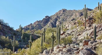 4849 Camelback Ridge Dr #B305, Scottsdale, AZ 85251