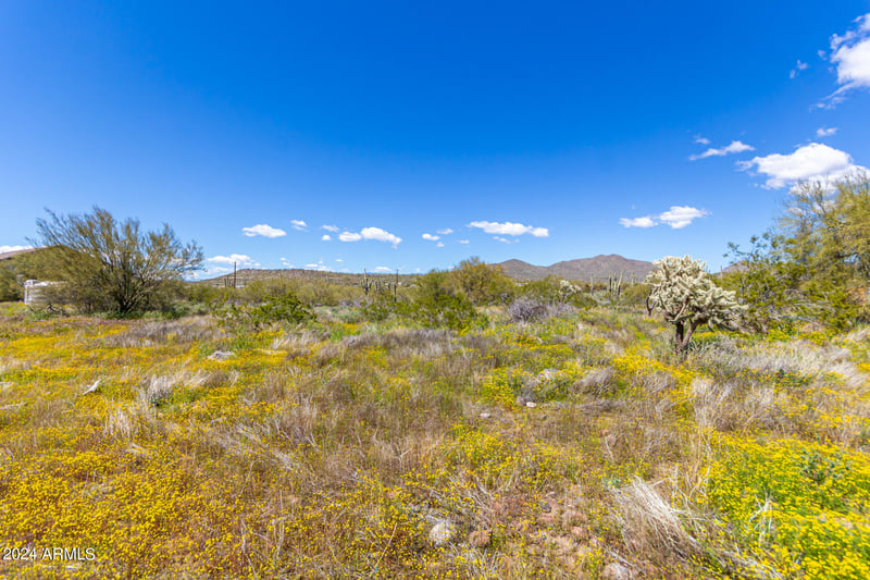 48XXX N 7th Ave #-, New River, AZ 85087