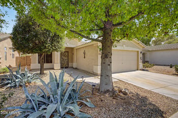 49 W Nolana Pl, San Tan Valley, AZ 85143