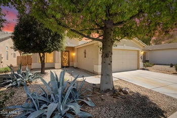 49 W Nolana Pl, San Tan Valley, AZ 85143