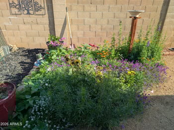 490 San Remo Ave, Gilbert, AZ 85234