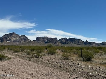 490 W Van Buren St #63, Tonopah, AZ 85354