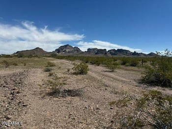490 W Van Buren St #63, Tonopah, AZ 85354