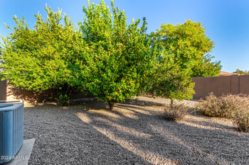 4902 Overlook Ln, Litchfield Park, AZ 85340